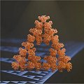 Descoberta primeira molcula fractal da natureza