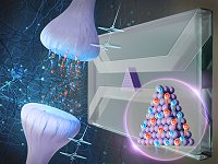 Sinapse artificial para computador neuromrfico  funciona com gua e sal