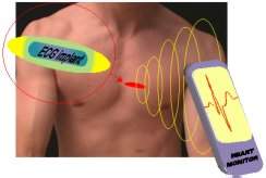 Sensores subcutneos flexveis permitiro monitoramento contnuo de pacientes