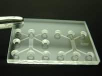 Microlaboratrio megaprodutivo vira uma microfbrica qumica