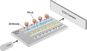 Biochip detecta infeco de vrus em cinco minutos