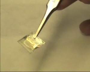 Chip biodegradvel criar implantes temporrios no corpo humano