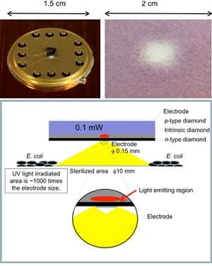 LED de diamante emite luz capaz de matar bactérias
