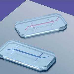 Cientistas criam pulmão eletrônico dentro de um chip