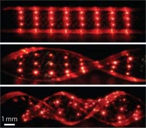 LEDs implantáveis criam tatuagens que acendem