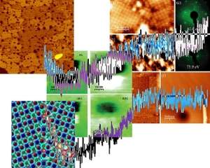 Componentes bioeletrnicos juntam protenas e circuitos eletrnicos