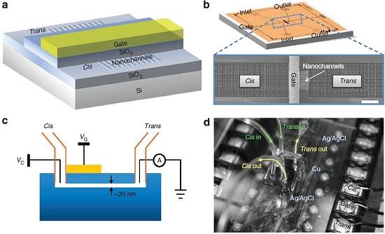 Diodo nanofluídico une mundos eletrônico e biológico