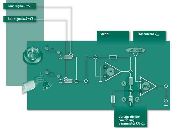 Cão de Pavlov eletrônico: computadores podem aprender