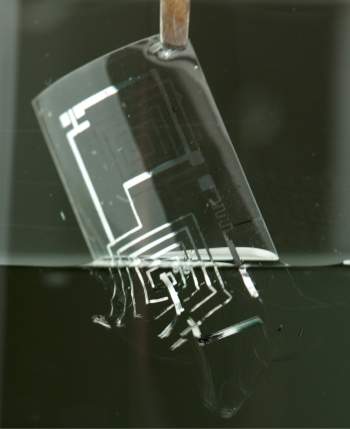 Circuitos eletrnicos biodegradveis dissolvem no corpo