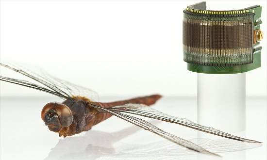 Olho artificial inspirado em insetos est pronto para uso