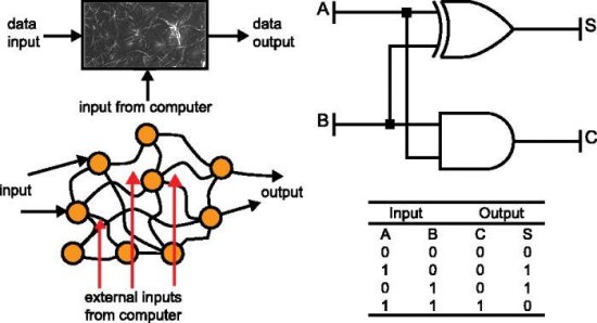 Computao com nanotubos usa evoluo na matria