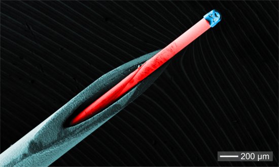 Microcmera pode ser injetada com uma seringa