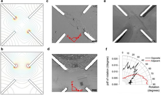 Nanotubos de carbono evoluem para realizar tarefa computacional