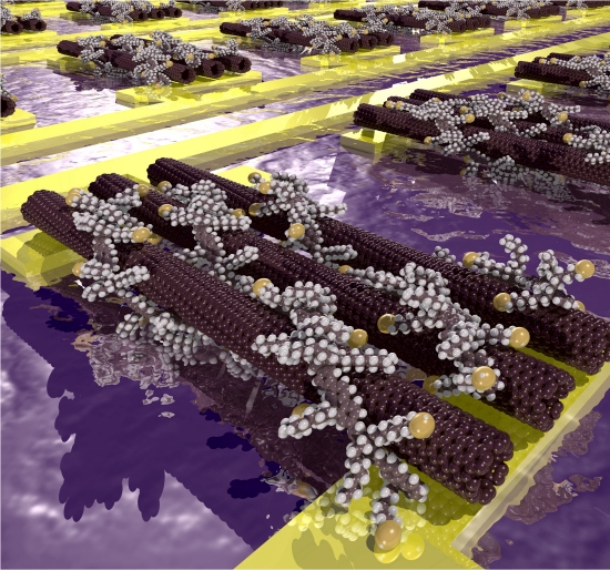 Tcnica revolucionria faz nanotubos virarem transistores
