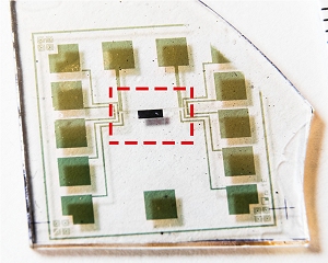 Chip que funciona dentro d'gua impulsiona bioeletrnica