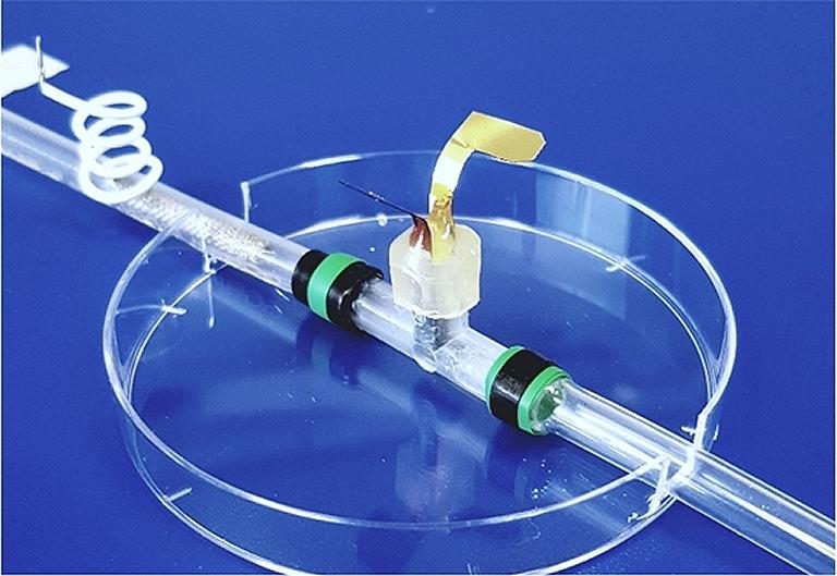 Transstor bioeletrnico  integrado em rgos artificiais vivos