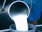 Resfriamento de leite pode ser feito com biogs produzido na fazenda