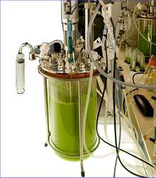 Empresa lana biodiesel produzido a partir de algas marinhas