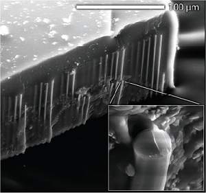 Dois recordes mundiais e duas novas células solares