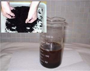 Cientistas da USP produzem biodiesel da borra de café