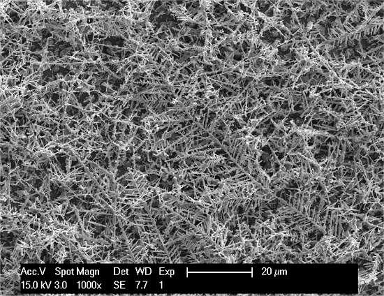 Árvores fractais criam novo tipo de célula solar