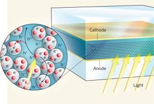 Células solares orgânicas de estado sólido