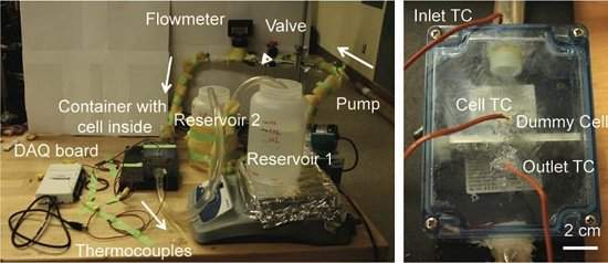 Efeito Termogalvânico: calor residual vira energia guardada em baterias