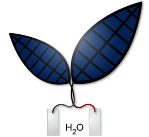 Folha biônica usa energia solar para fazer combustível líquido