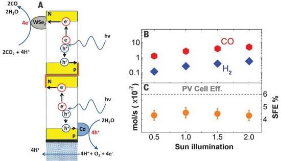 Clula biossinttica transforma CO2 e luz solar em combustvel
