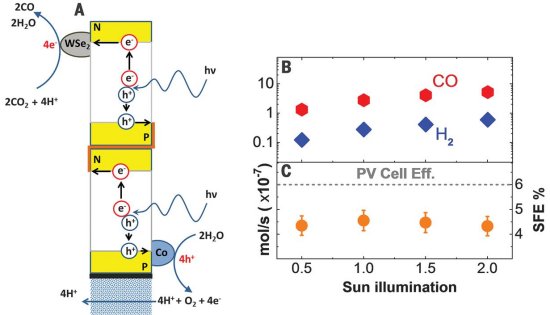 Célula biossintética transforma CO2 e luz solar em combustível