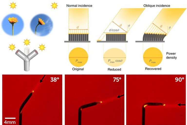 Girassis artificiais podem substituir clulas solares