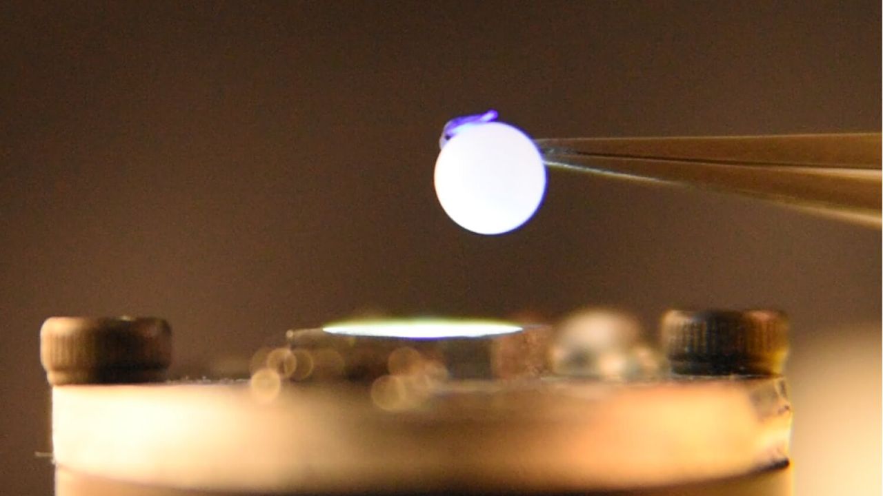 Material fotomecnico converte luz diretamente em trabalho mecnico