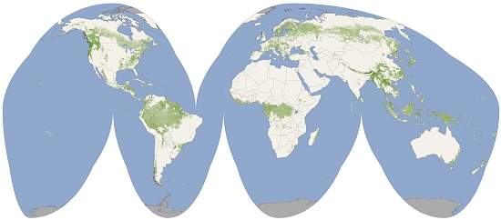 Mapa-mndi verde mostra altura das florestas da Terra