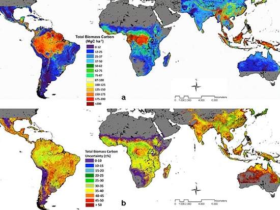 Mapa-mndi do carbono revela estoque das florestas tropicais