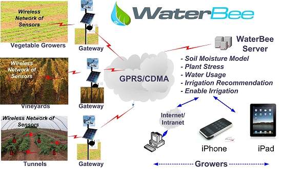 Sistema de irrigação inteligente economiza água e produz mais
