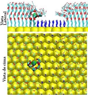 Nano-velcro detecta metais pesados na gua e nos peixes