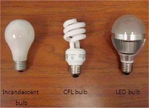 Lmpadas fluorescentes compactas devem ser banidas, dizem cientistas