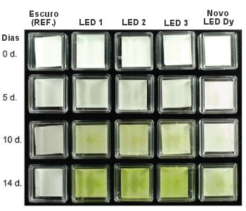 LED emite luz invisvel para as plantas