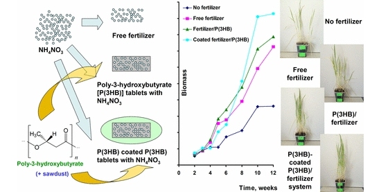 Fertilizante inteligente aduba plantas por meses