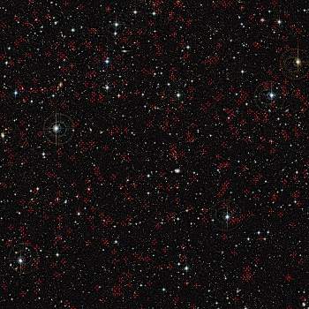 010130110713-campo-cosmos-1.jpg