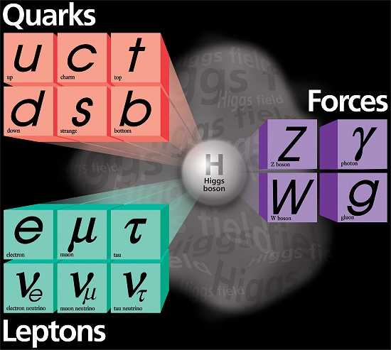 Partícula descoberta no LHC é 