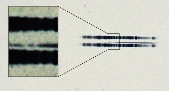 Primeiro exoplaneta foi observado em 1917 - mas ningum notou