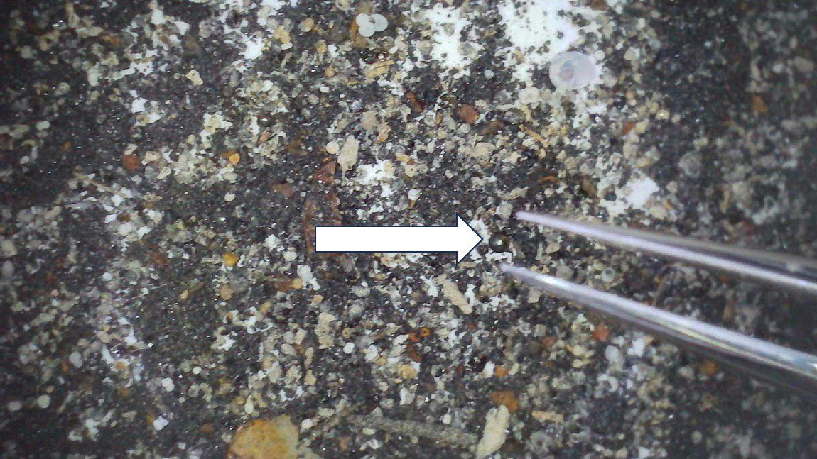 Fragmentos de meteoro interestelar pode realmente ter sido encontrado no oceano