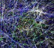 Brasileiros avançam na era digital