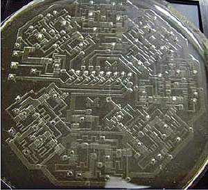 Criado microprocessador que funciona com ar