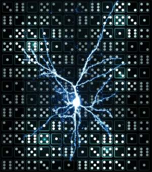 Neurônios individuais têm poder computacional
