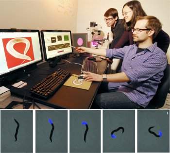 Videogames bióticos controlam seres vivos em tempo real