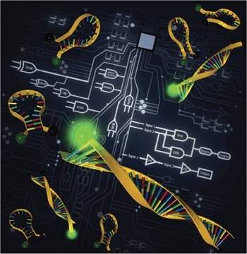 Biocomputador: criado primeiro circuito lgico de DNA