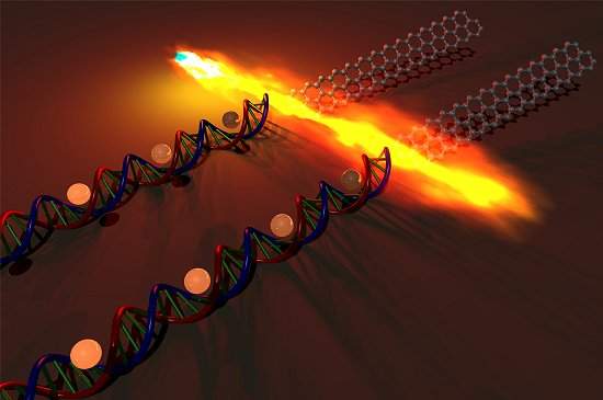 DNA  usado para fabricar transstor de grafeno