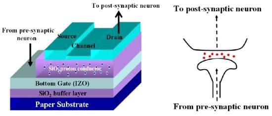 Sinapse artificial de papel